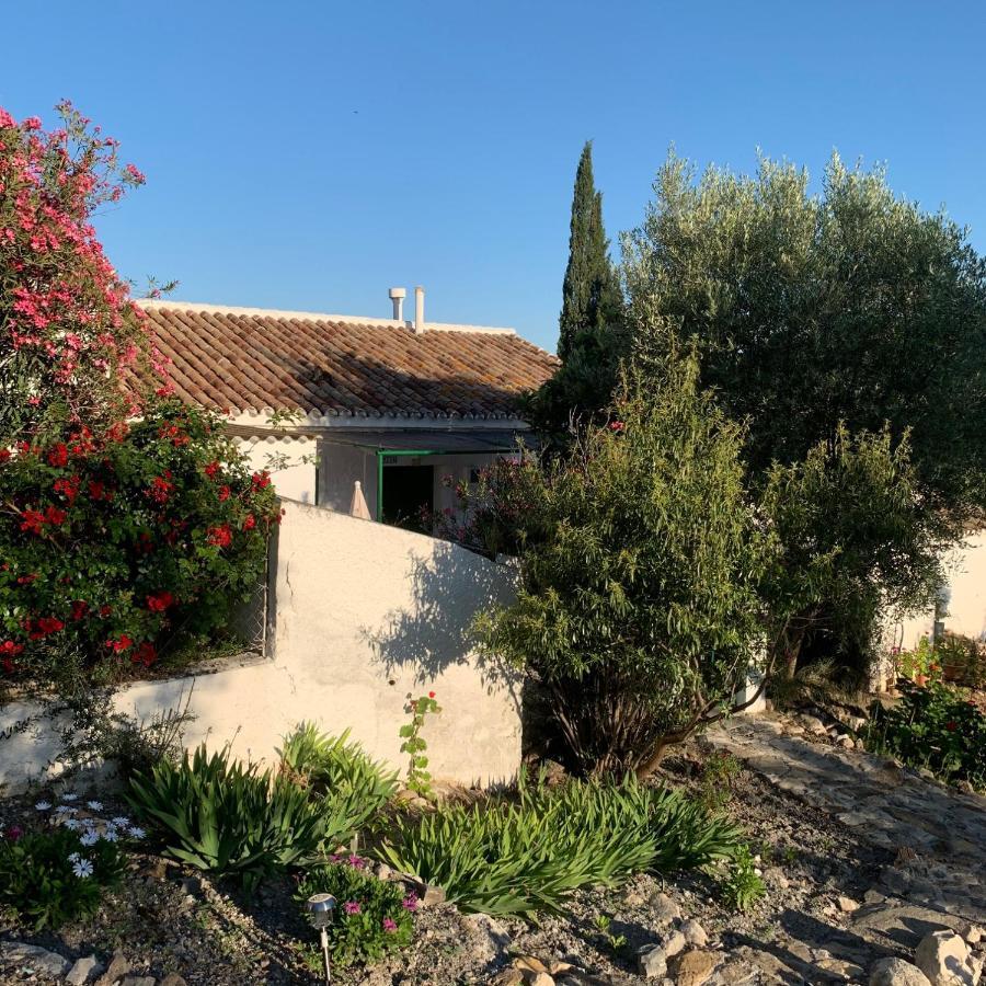 Casa Anita - La Almona Chica Casa di campagna El Chorro