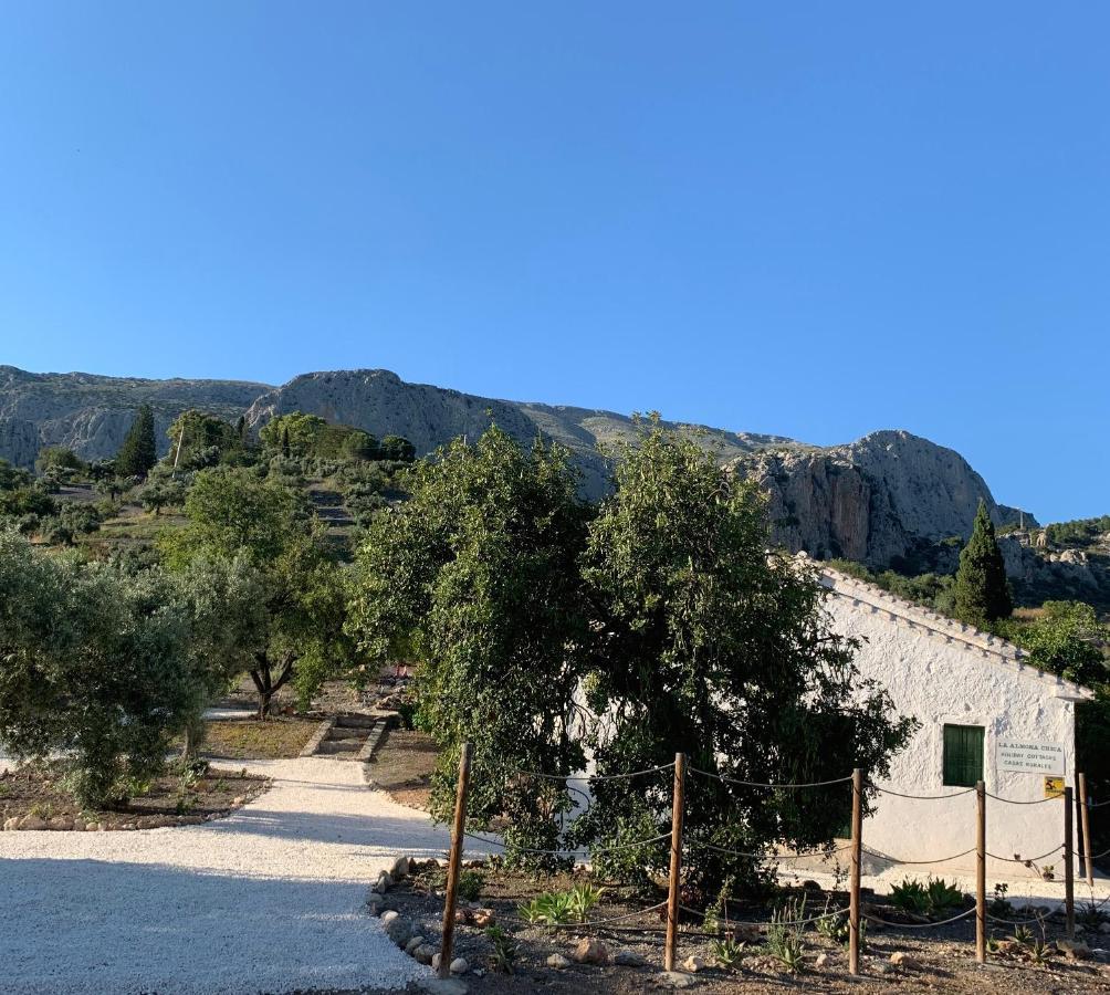 Casa Anita - La Almona Chica * El Chorro